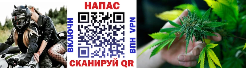 Шишки марихуана планчик Гаврилов-Ям
