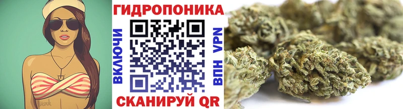 где купить наркоту  Гаврилов-Ям  Бошки марихуана планчик 